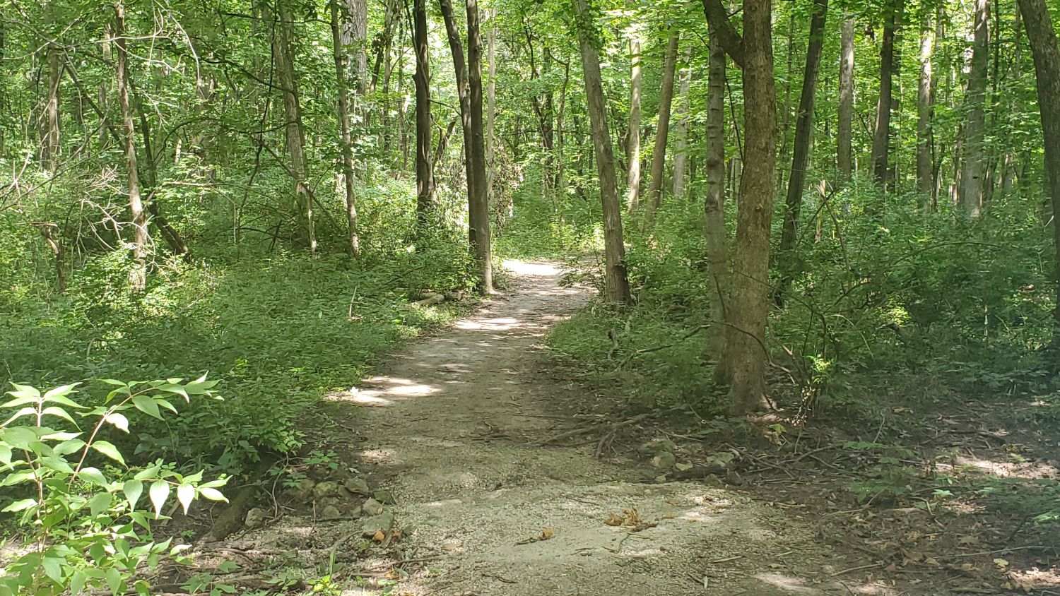 Shabbona Lake State Park 